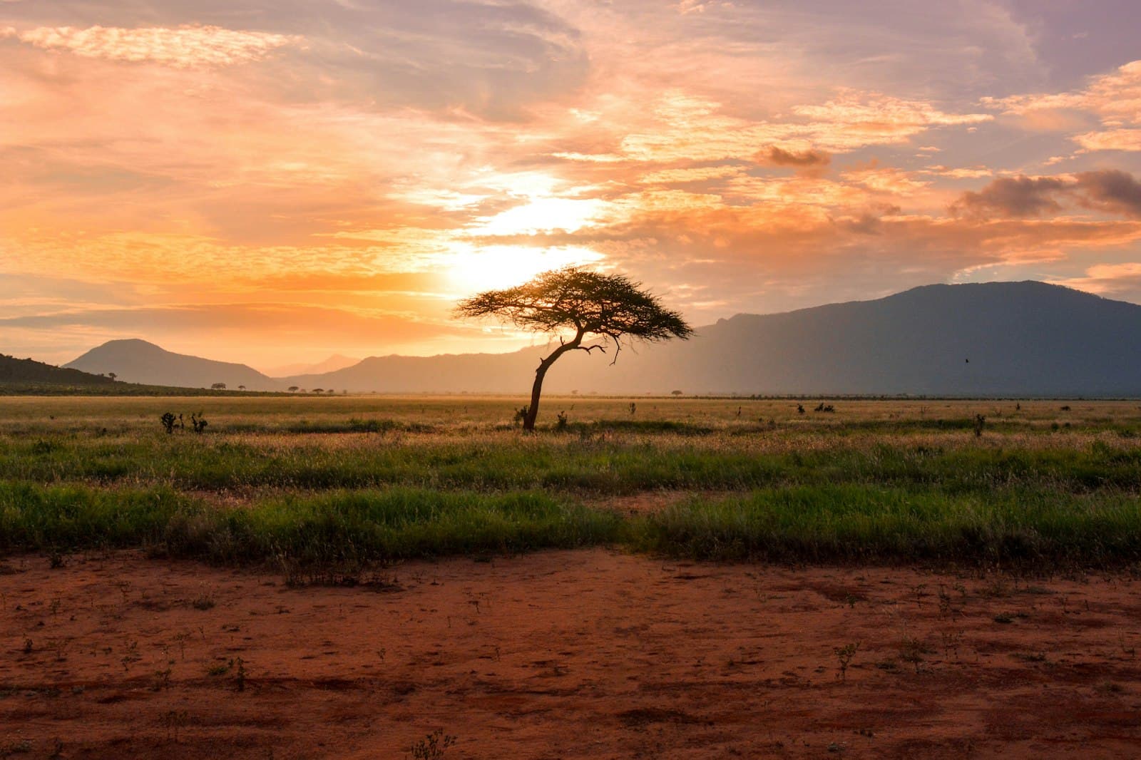 Tanzania landscape